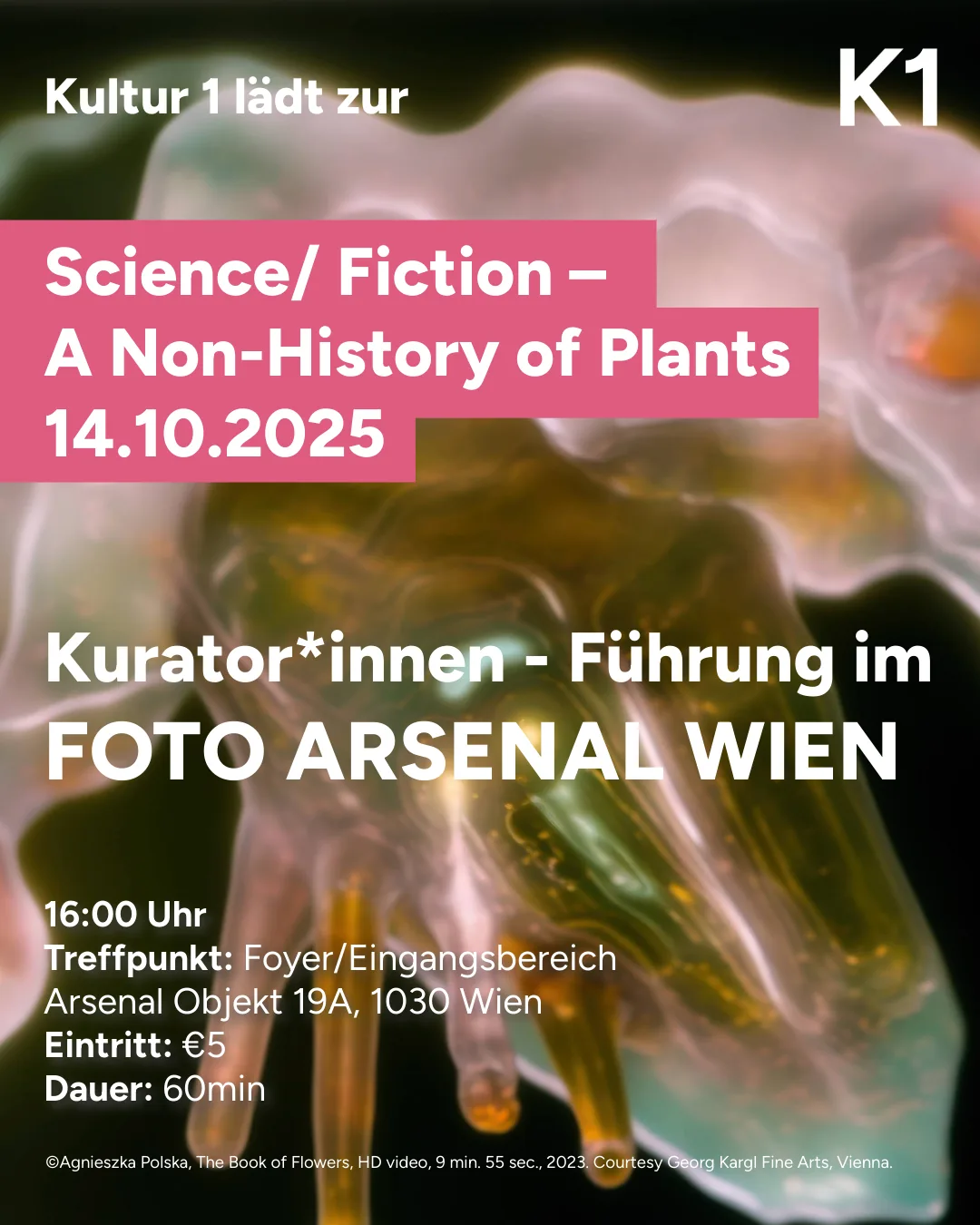 Führung Foto Arsenal am 14.10.2025